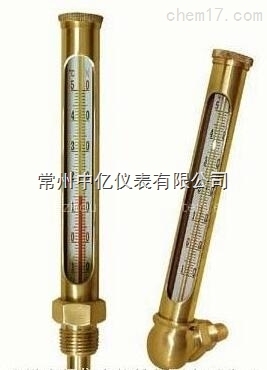 WNY-11銅(tóng)金屬套溫度(du)計廠家