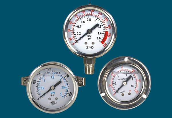 耐震(zhèn)壓力表